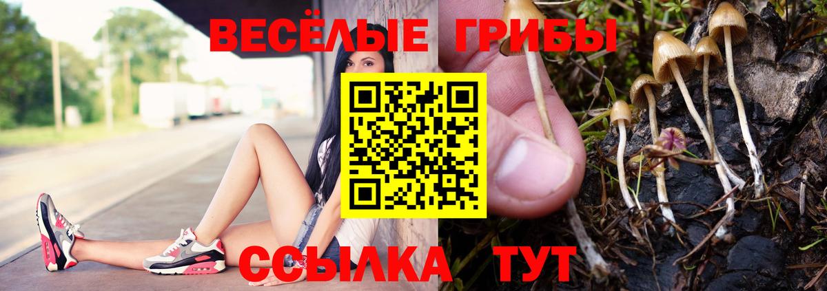 Псилоцибиновые грибы GOLDEN TEACHER Назарово